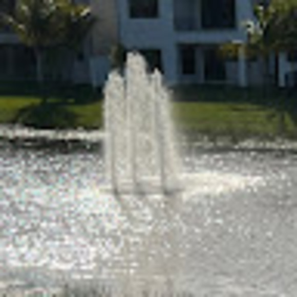 nyfloridalife1